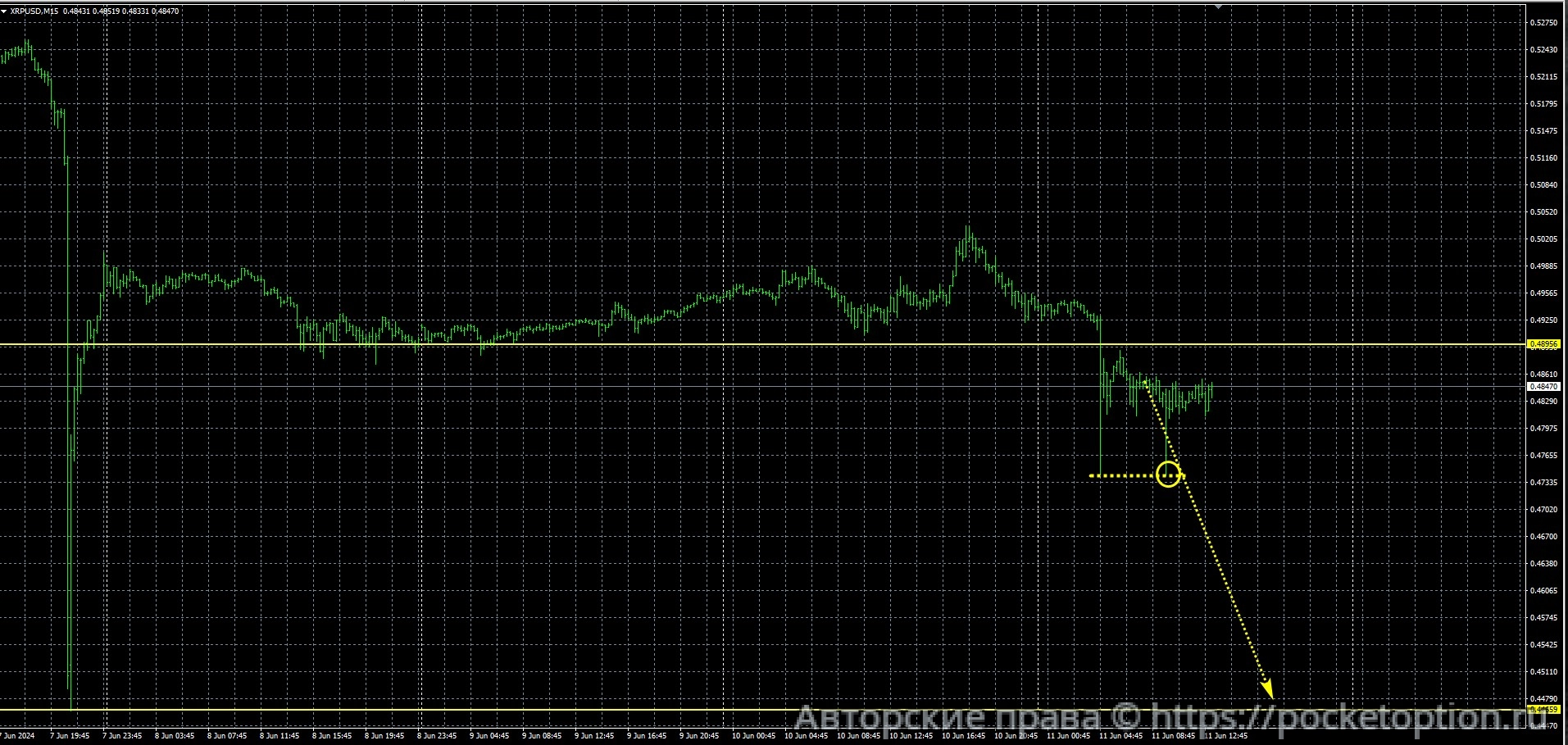 xrp_11.06_res