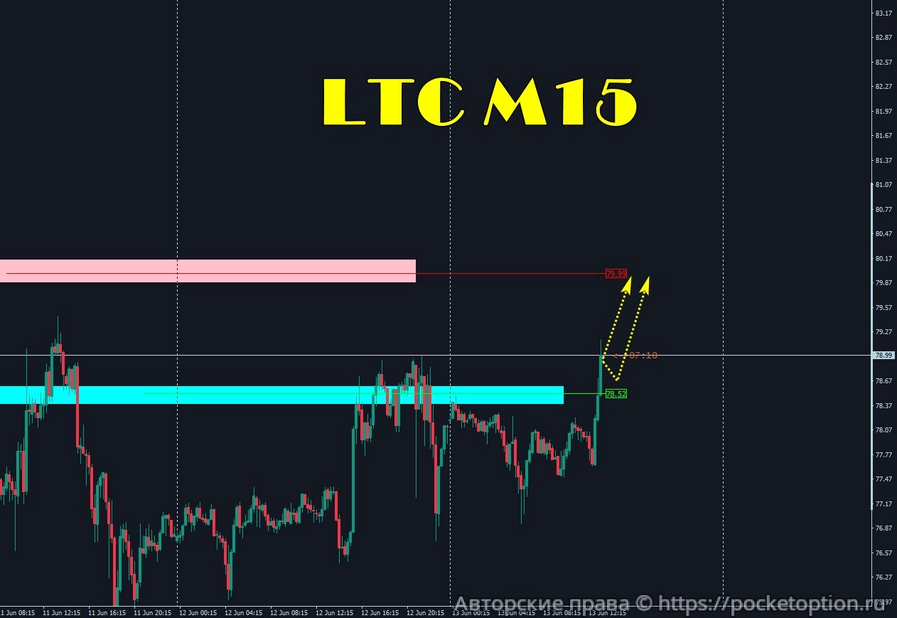 ltc_13.06