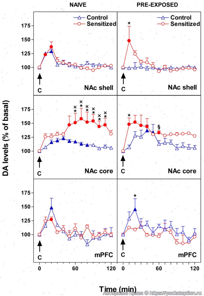 Effect-of-24-h-pre-exposure-to-chocolate